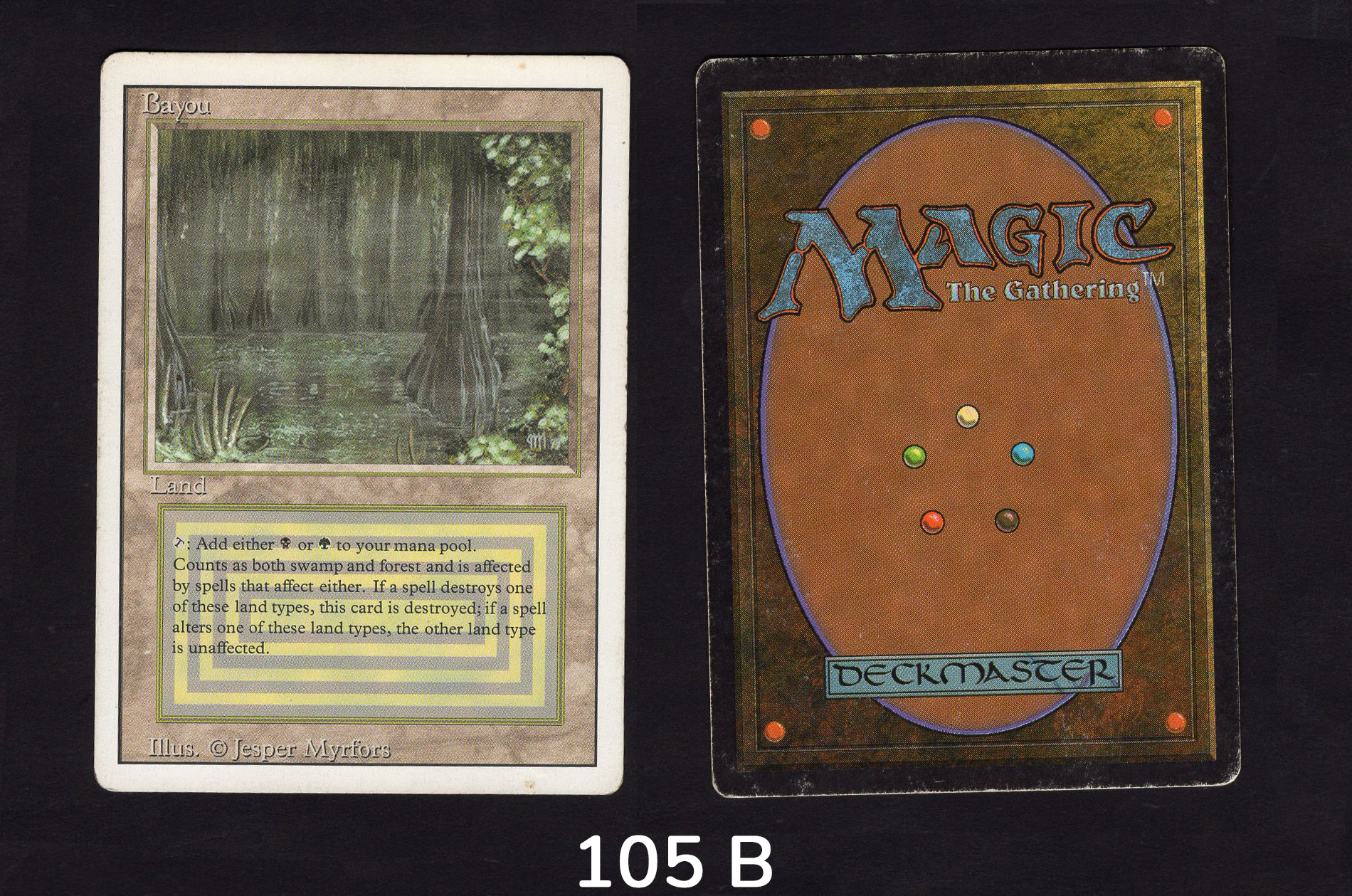 Bayou - #105b